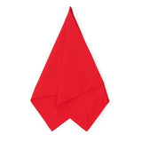 Christmas Red Winter Tablescape in a Box